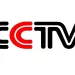 cctv logo