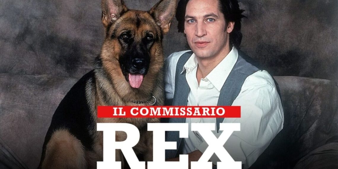 Inspecteur Rex, la série télévisée historique est prête à revenir : une série de films sur le chien policier bien-aimé a été annoncée !